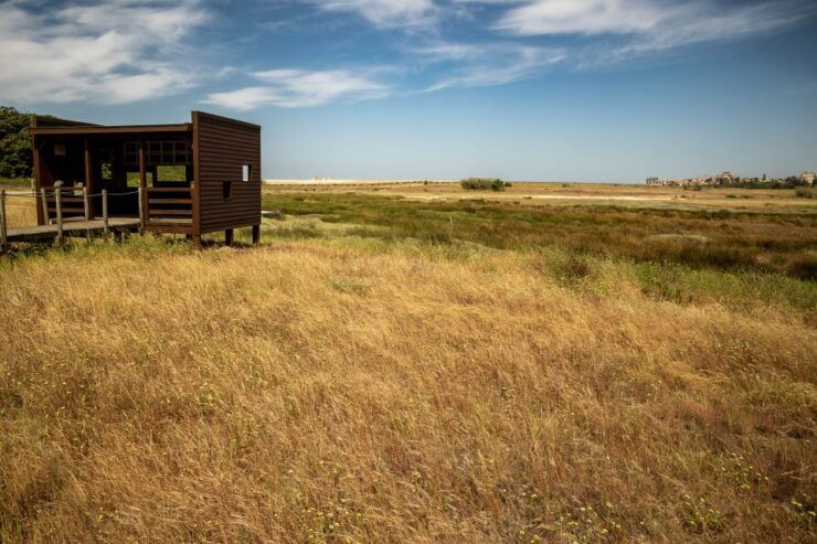 Best Views to Porto From Gaia. VW Kombi Tour With Cocktail - Tour Highlights