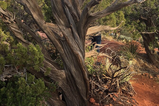 Best Vortex and Chakra Tour of Sedona - Overview and Tour Details