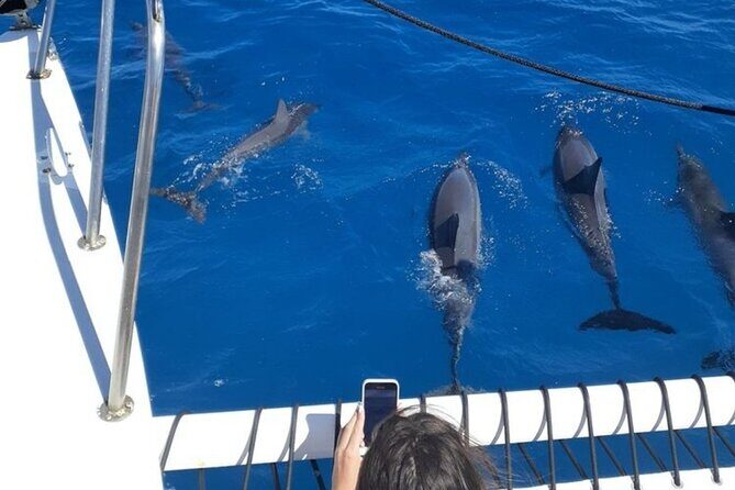 Best Waikiki Sunset Cruise:BYOB Sunset Sail with Swimming - Good To Know