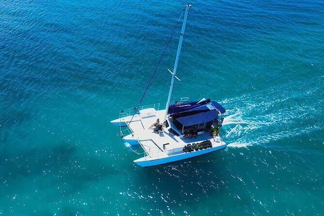 Best Waikiki Whale Watching in Honolulu: Whales Guaranteed - Final Thoughts: Is This Tour Worth It?