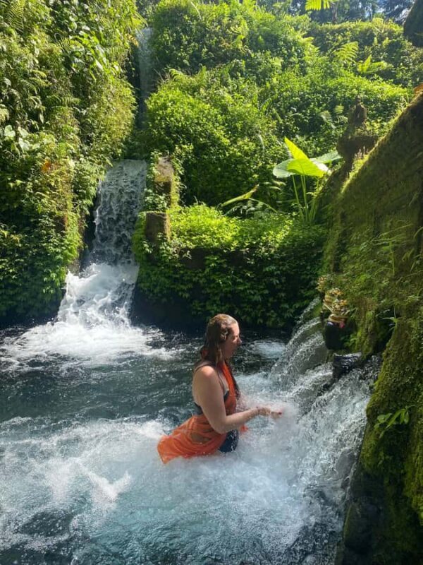 Best Watefalls, Monkey Forest, Temple and Rice terrace - The Sum Up