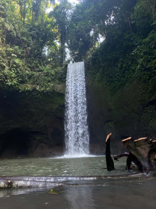 Best Watefalls, Monkey Forest, Temple and Rice terrace - FAQ