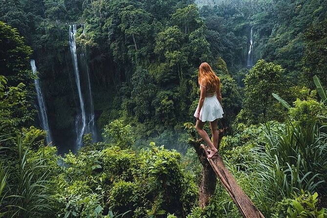 Best Waterfall In Bali Full Day Tour - Tour Highlights