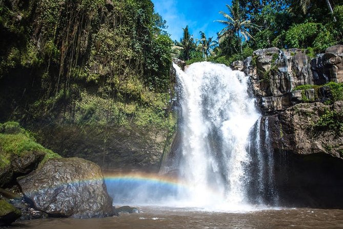 Best Waterfall & Kintamani Tour - The Sum Up