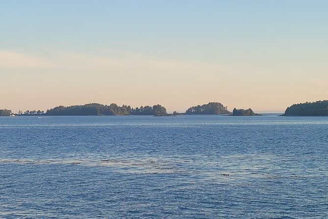 Best Whale Watching and Wildlife Shore Excursion in Sitka - Directions