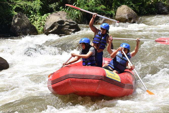 Best White Water Rafting, Ubud - Rafting Experience Overview