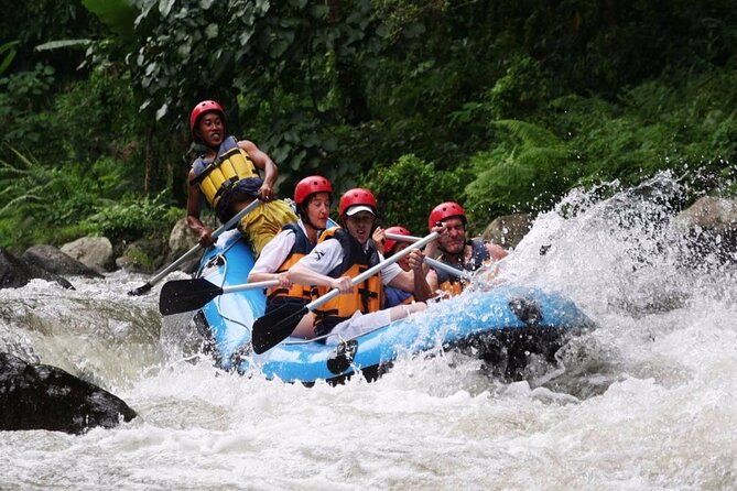 Best White Water Rafting With Lunch and Private Transfer in Bali - Pricing and Guarantee