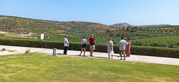 Best Wines of Crete: Private Wine Tasting Tour in Heraklion - Pricing and Group Size