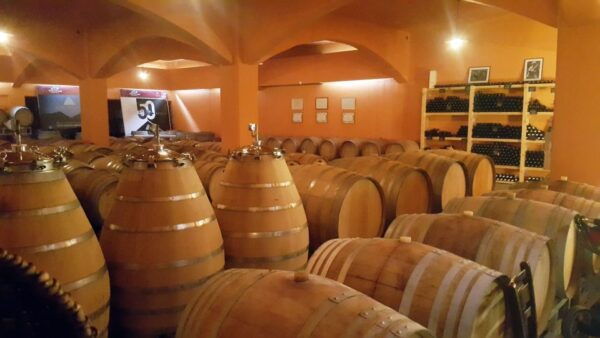 Best Wines of Crete: Private Wine Tasting Tour in Heraklion - Common Questions