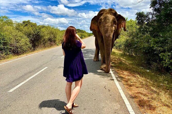 Best Yala Shared Leopard Safari: Tissamaharama Wildlife Tours - Good To Know