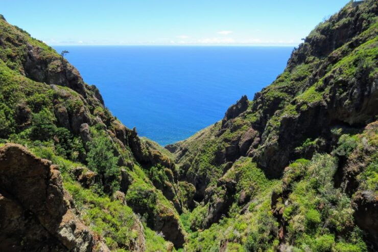 Bestselling Adventure in the Sunny Southwest - Rum & Banana - Adventure Experience