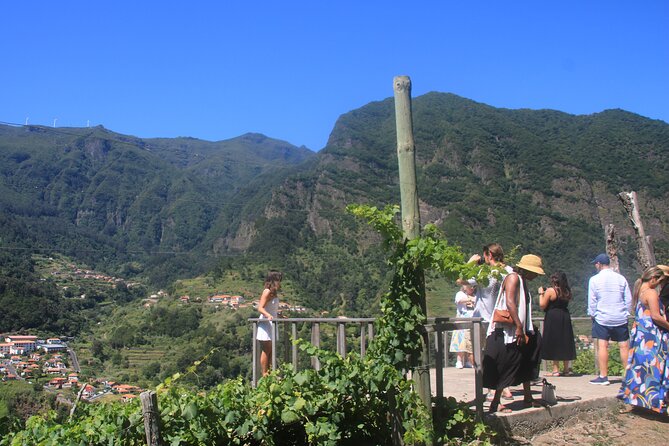 Bestselling Wine Tour, Tasting Experience & Skywalk 4x4 Adventure - Tour Highlights