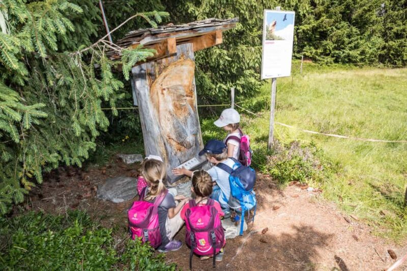 Betelberg: Marmot Trail with Interactive Play Stations - Introduction