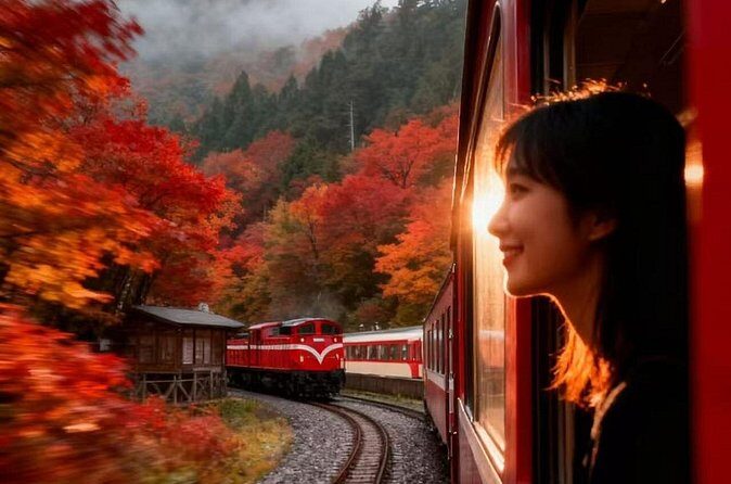 Between Cloud Sea and Ancient Woods Alishan Awaits - FAQ