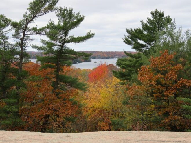 Between Huntsville and Toronto: Smartphone Audio Tour - Audio Tour Features