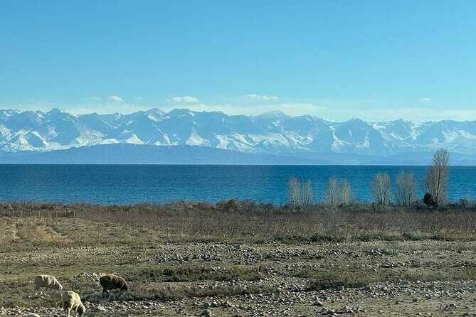 Between Peaks and Traditions: A Scenic 5-Day Kyrgyz Journey - What Reviewers Say