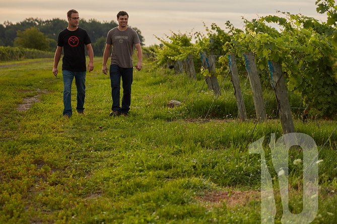 Between The Lines Classic Wine Tasting - Wine Pairing Suggestions