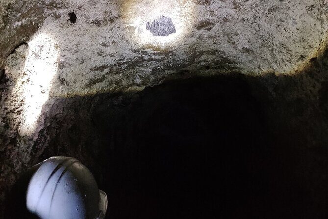 Between Tunnels and Bats - Exploring the Journey: From Surface to Underground