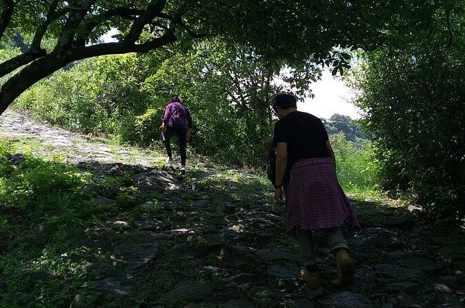 Between Tunnels and Bats - What Past Participants Say (Based on Available Feedback)