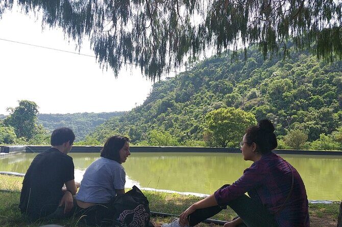 Between Tunnels and Bats - Value and Recommendations