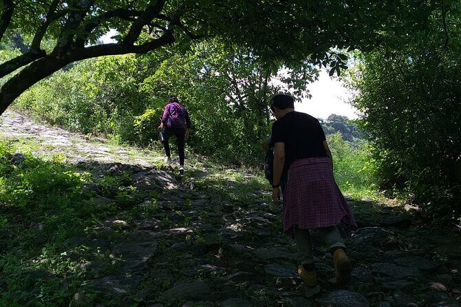 Between Tunnels and Bats - Who Should Consider This Tour?