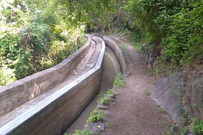 Between Tunnels and Bats - FAQ