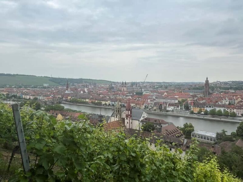 Between vineyards and a royal residence enjoy Würzburg's wines with a view - Good To Know