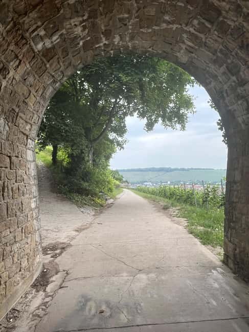 Between vineyards and a royal residence enjoy Würzburg's wines with a view - Who Is This Tour Best Suited For?