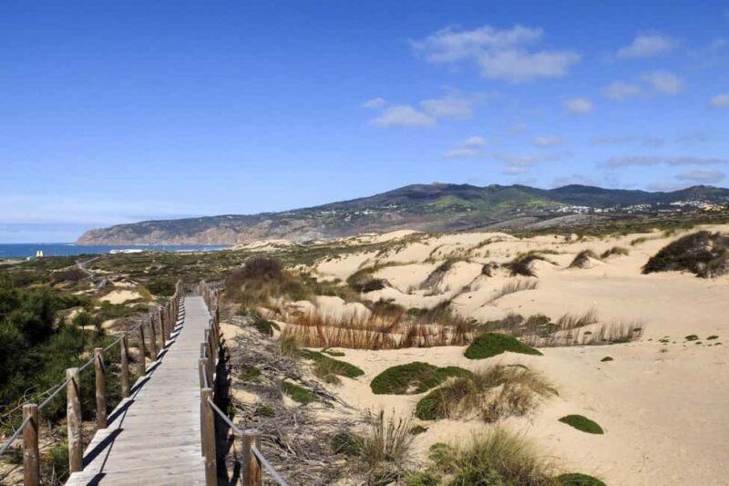 Between Worlds: Emotional Journey Through Sintra & Cascais - Good To Know