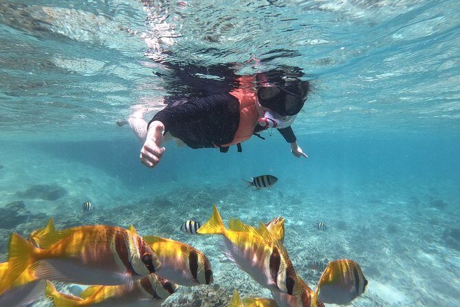 Beyond Angthong 42 Islands Premium Service Trip By Speedboat From Koh Samui - Good To Know