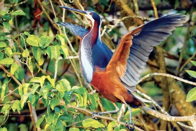 Beyond Bacalar: Pirate Route Exploration + River Float + Lunch - Final Thoughts