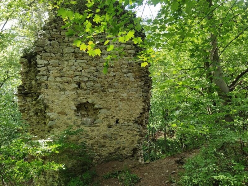 Beyond Brno: Secrets of Moravian Nature - Half-Day Tour - Starting Point and Transportation