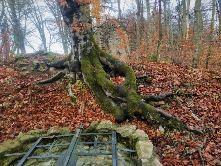 Beyond Brno: Secrets of Moravian Nature - Half-Day Tour - More Cave Wonders and Geological Marvels