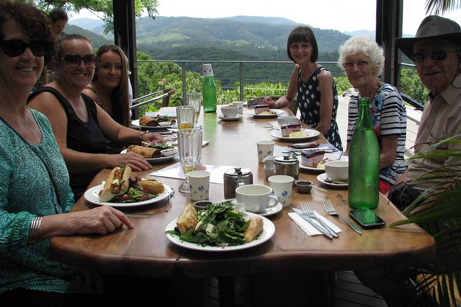 Beyond Byron Hinterland Tour - Cancellation Policy