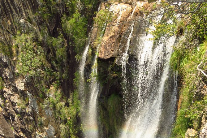 Beyond Byron Hinterland Tour - Reviews