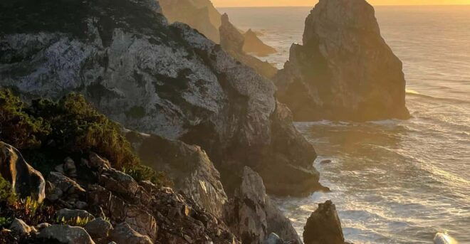 Beyond Lisbon: Road Trip to Magic Forest and Majestic Ocean - Optional Coastal Stops