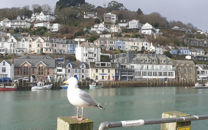 Beyond Paradise walking tour in Cornwall - Is $27.59 good value?