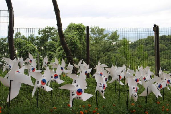 Beyond Seoul: Crash Landing on You Private K-Drama Tour - Questions You May Have