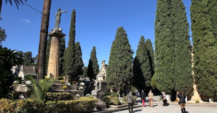 Beyond the Veil: Catacombs and Cemeteries of Palermo - Good To Know