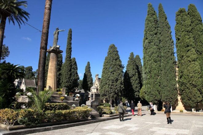 Beyond the Veil: Catacombs and Cemeteries of Palermo - Transportation and Logistics