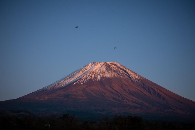 Beyond Tokyo Photo Trip - Popular Tourist Attractions