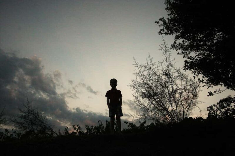 Beziers: Eco Wine Tasting at Sarabande Wines Off-Grid Winery - What to Expect at Sarabande Wines  