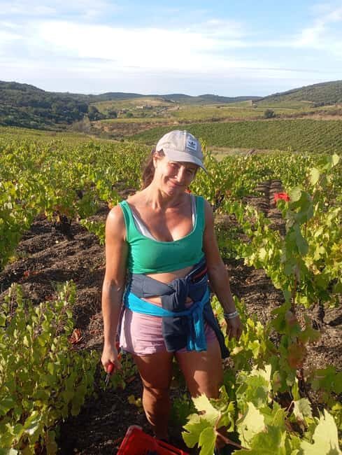 Beziers: Eco Wine Tasting at Sarabande Wines Off-Grid Winery - Who is This Tour Best For?  