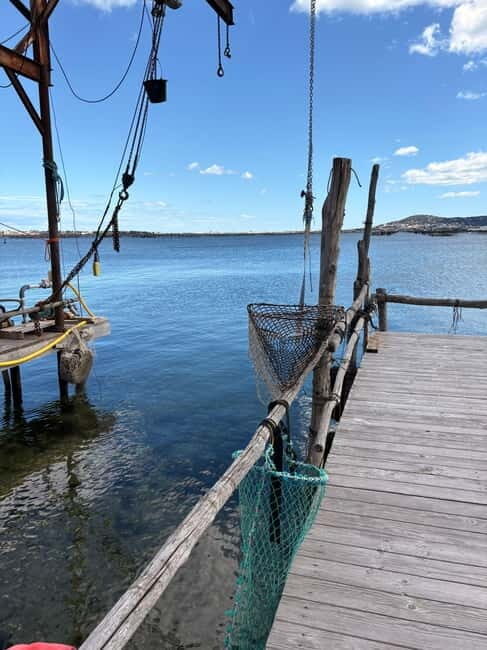 Béziers: Wine and Oyster Tasting Tour at Thau lagoon - Good To Know