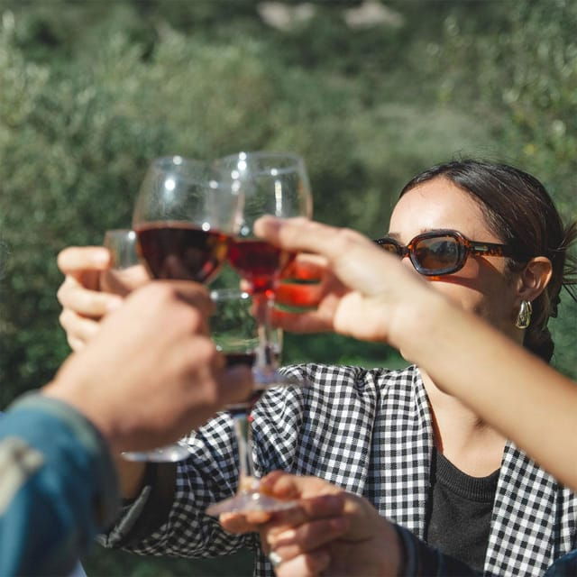 Béziers: Wine Tours & Wine Tasting - Wine Tasting Highlights