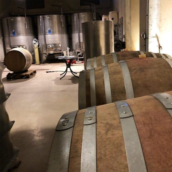 Béziers: Wine Tours & Wine Tasting - Customer Experiences and Reviews