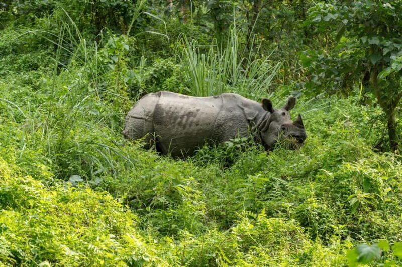 Bharatpur: 20000 Lake Guided Tour by Guide in Bicycle - Good To Know
