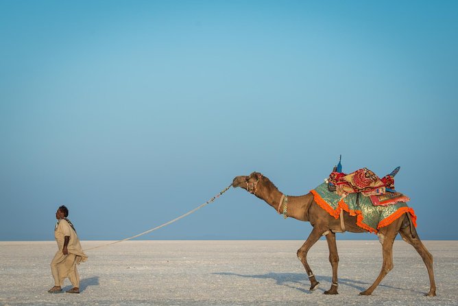Bhuj, Rann of Kutch & Mandvi Beach: The Art, Craft & Nature Tour - Local Cuisine Experience