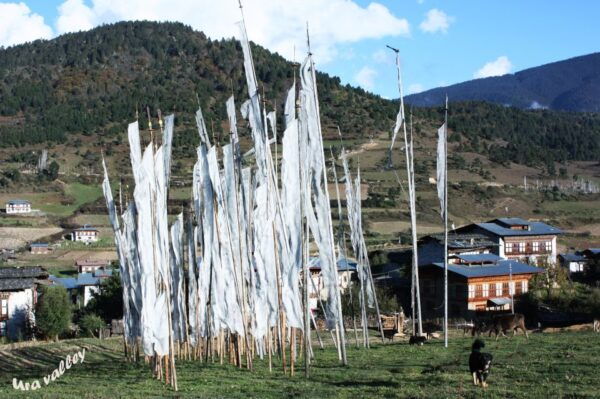 Bhutan: 15 Day Best of Bhutan - Bumthang - Spiritual Sightseeing