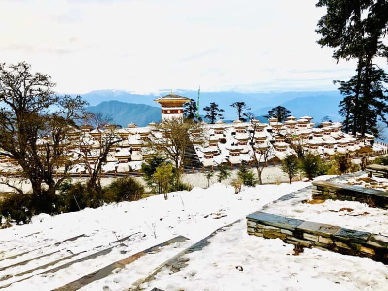 Bhutan: 7-Day Cultural Tour of Paro, Thimphu, and Punakha - In-Depth Look at the Experience